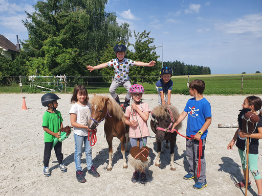 Spass mit Pony's 21