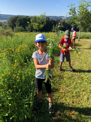 Biodiversität auf dem Bauernhof 2020